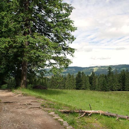 Domek Sekret Zakopane Exterior foto